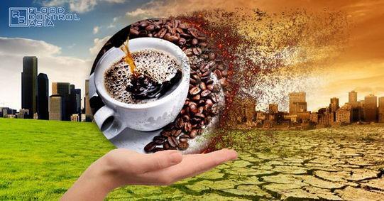 气候变化令好咖啡越来越少了？